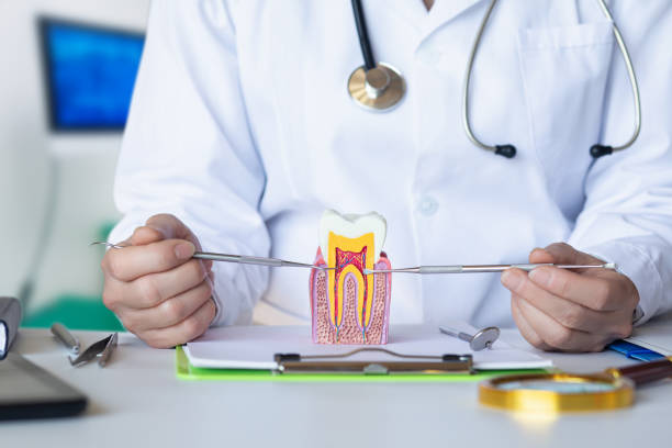 Best Emergency Treatment for Toothache in Oak Forest, IL